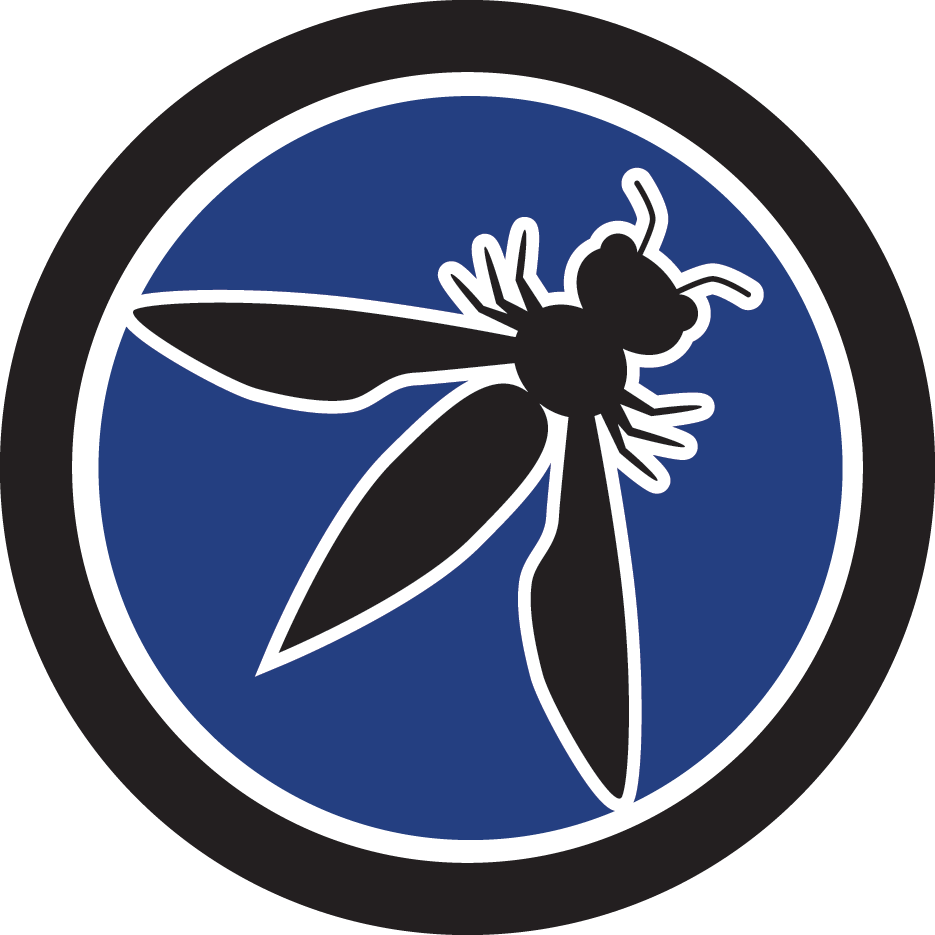 Owasp